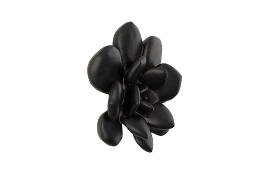 Laui Succulent Wall Art, Smallooth Matte Black by Phillips Collection