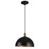 Placuna 1 Light Bronze Pendant by Uttermost