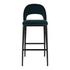 ROGER BARSTOOL TEAL VELVET by Moes Home