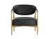HELOISE LOUNGE CHAIR - BRAVO BLACK by Sunpan