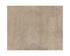 CALATHEA HAND-TUFTED RUG - SAND - 8' X 10' by Sunpan