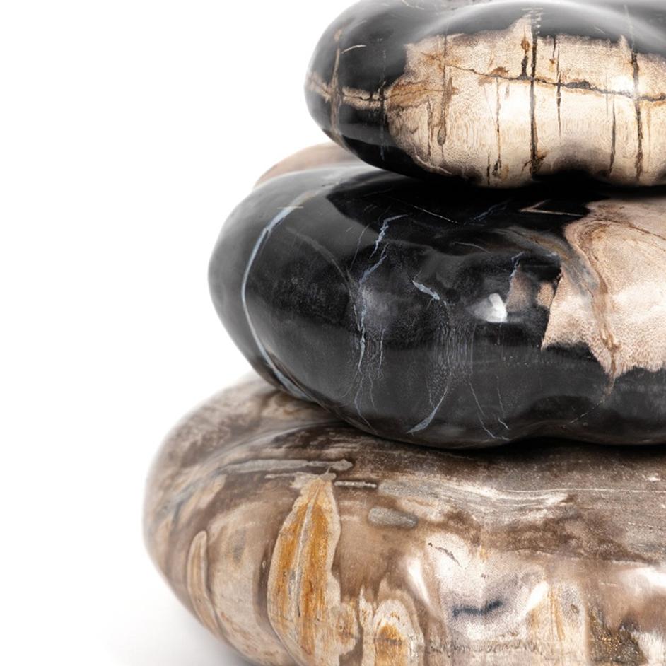 Petrified Wood Organic Sculpture, Set Of 3 - Dark Petrified Wood by Four Hands