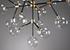 Phoenix Chandelier Clear by Classic Home