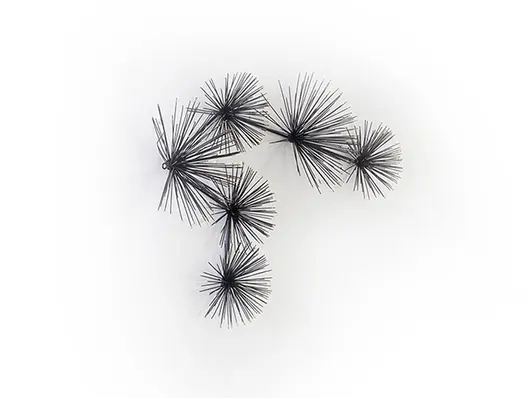 Sea Root Wall Art by PHILLIPS COLLECTION