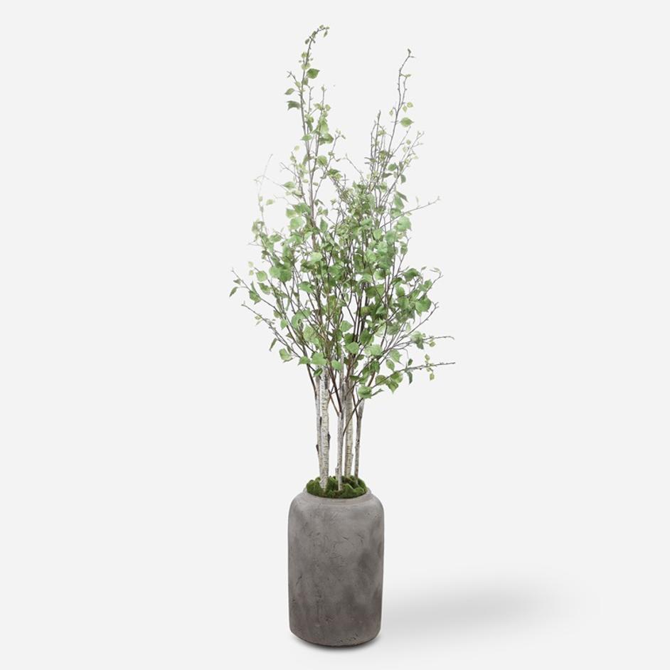 Aldis Potted River Birch by Uttermost