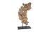 Pipal Wood Sculpture by PHILLIPS COLLECTION