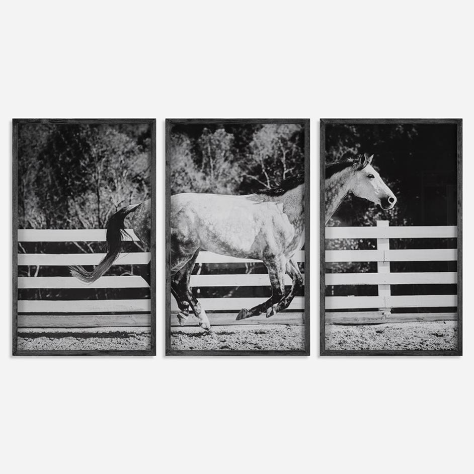 Galloping Forward Equine Prints, Set/3 by Uttermost