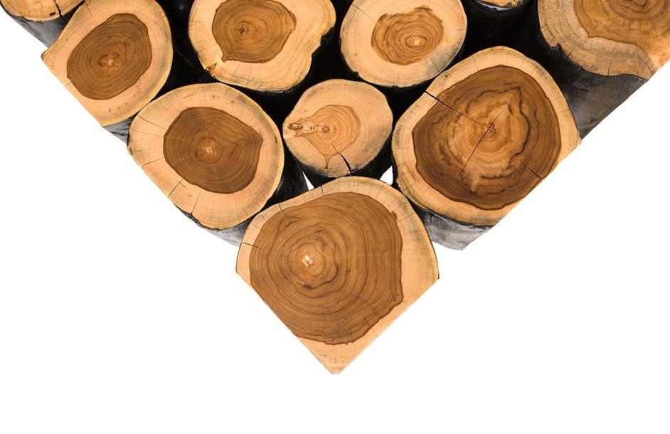 Boscage Coffee Table on Black Metal Legs, Rectangular by PHILLIPS COLLECTION