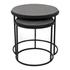 ROOST NESTING TABLES SET OF 2 by Moes Home