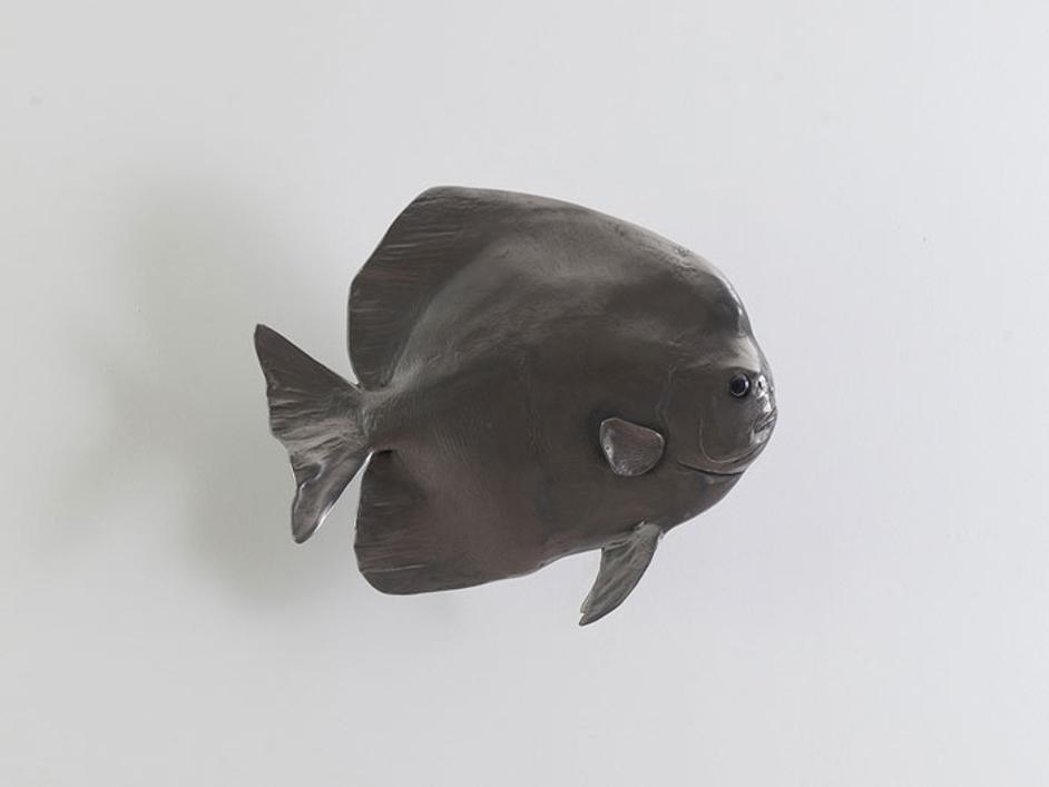 Australian Batfish, Polished Aluminum by PHILLIPS COLLECTION