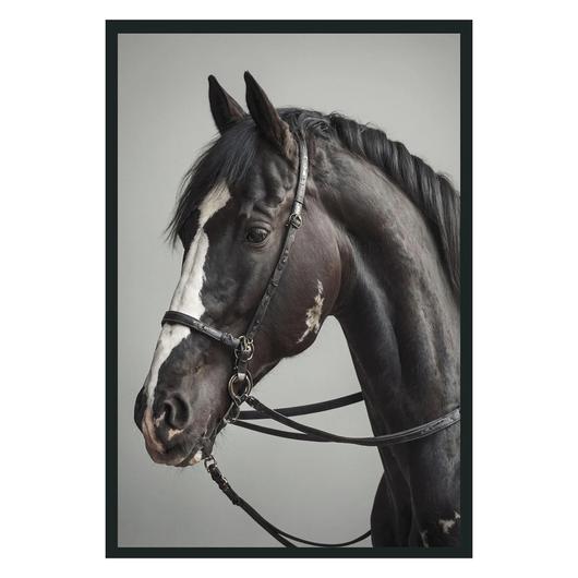 Horse Photography 48x72 by Classic Home