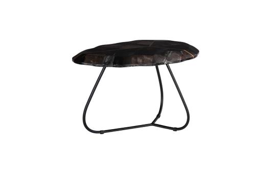 Mosaic Leaf Petrified Coffee Table, Smallallall by Phillips Collection