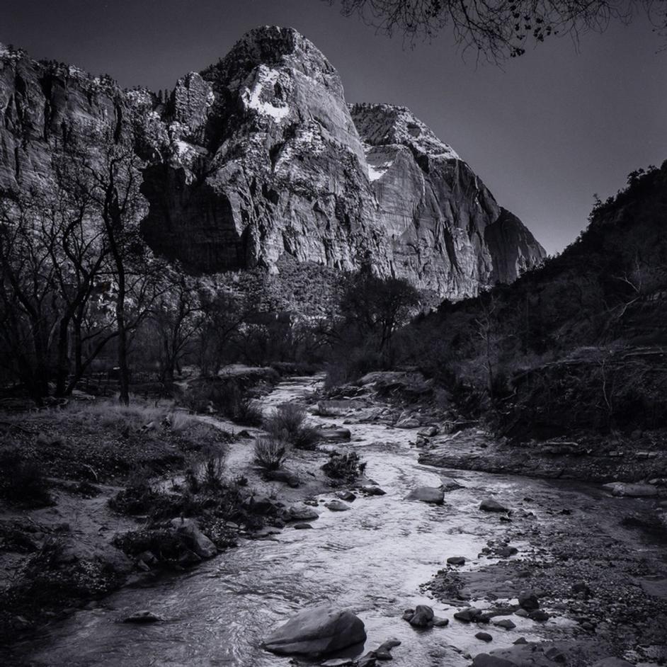 Zion National Park by Getty Images In 238447 And 004 And 40.0x60.0 And Black 2.5 Maple And Oversized by Four Hands