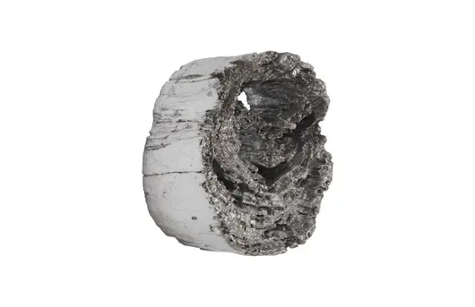 Cast Eroded Wood Circle Wall Tile by PHILLIPS COLLECTION