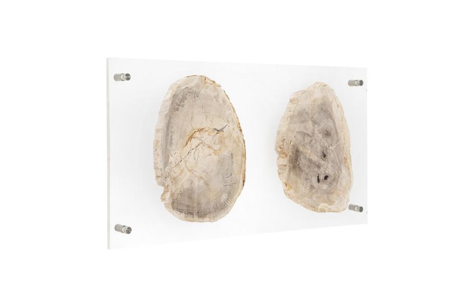 Floating Petrified Double Slice Wall Art by PHILLIPS COLLECTION