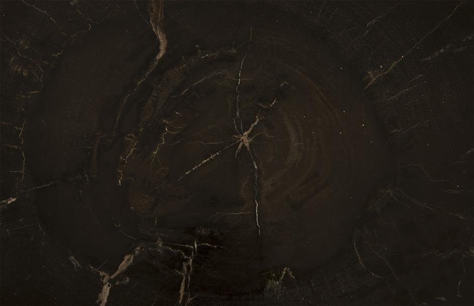 Petrified Wood Coffee Table, SS Legs by PHILLIPS COLLECTION