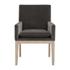Drake Arm Chair by Essentials For Living