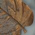 Birch Leaf Wall Art, Copper, Small by PHILLIPS COLLECTION