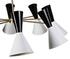 Saphira 8 Light Ceiling Lamp - Black/White by GALLA HOME
