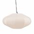 Lorien Pendant Light by Curated Collections