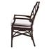 Kara Rattan Arm Chair In Paloma Brown by New Pacific Direct
