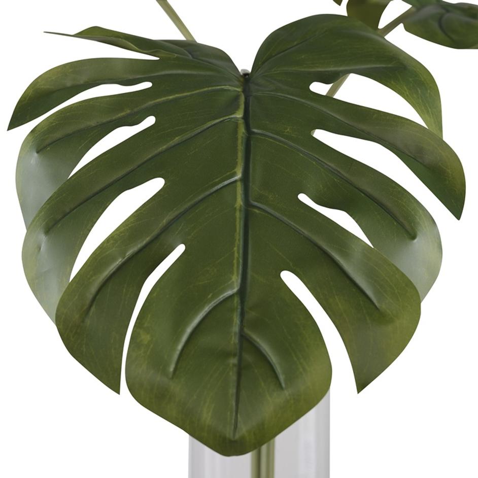 Ibero Split Leaf Palm by Uttermost
