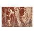 Rosa Accent Table Rosso Levanto Marble by Moes Home