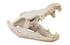 Crocodile Skull, Roman Stone by PHILLIPS COLLECTION