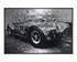 Cobra 427 - 72" X 48" - Charcoal Frame by Sunpan
