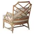 Kara Rattan Accent Arm Chair In Canary Brown  by New Pacific Direct