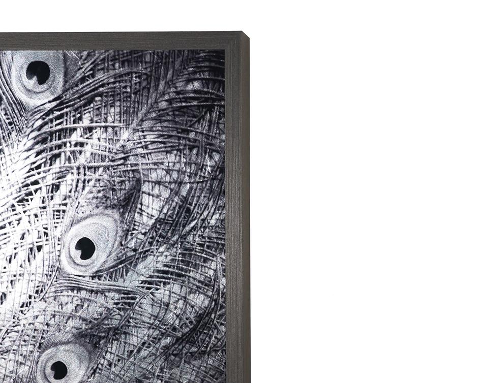 Courtship - 48" X 48" - Charcoal Frame by Sunpan