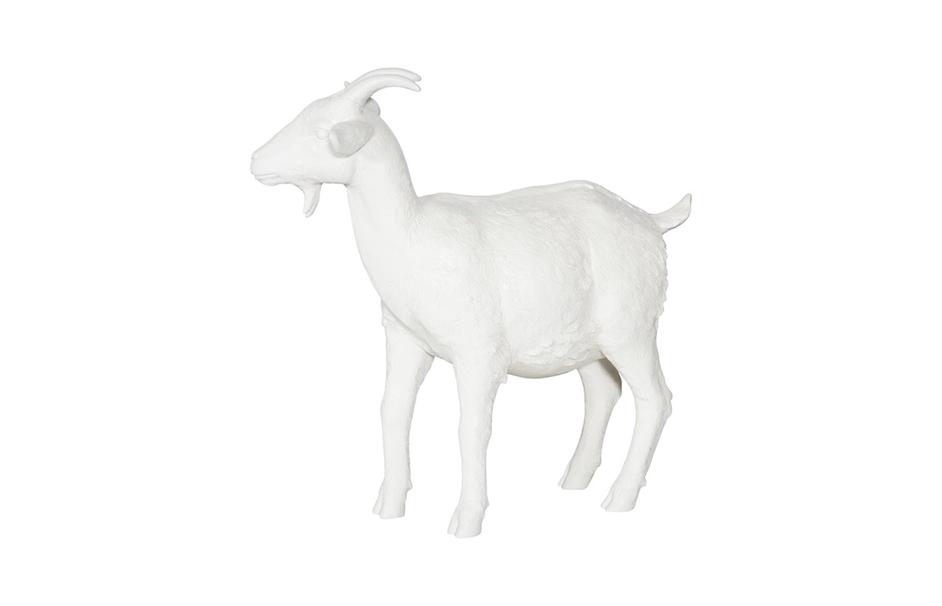 Goat, Off White by Phillips Collection