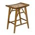 Murphy Teak and Caning Counter Stool with Clear Flat Finish by Noir Furniture