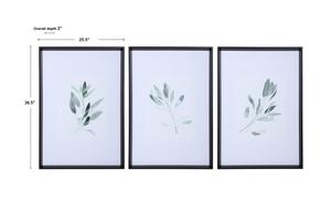 Simple Sage Watercolor Prints, S/3 by Uttermost