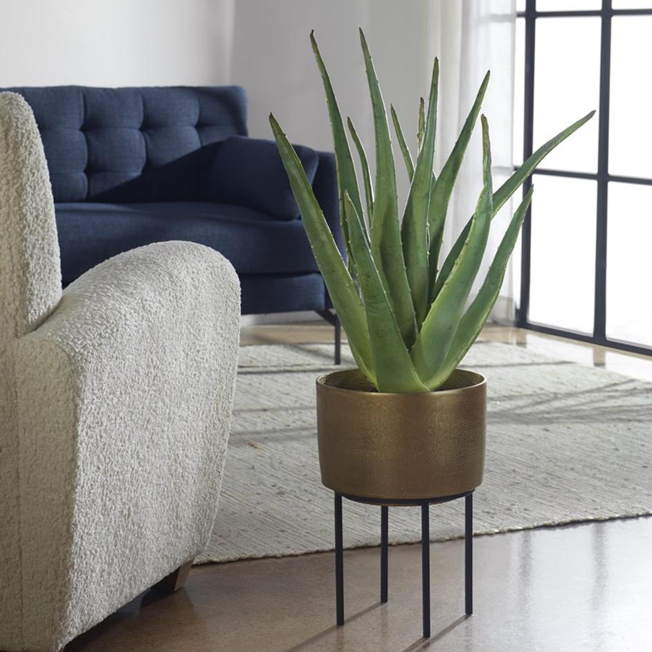Arabia Aloe Planter by Uttermost