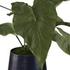 Mari Calla Accent Plant by Uttermost