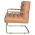 Peyton Bonded Leather Arm Chair Gold Frame In Vintage Cider by New Pacific Direct
