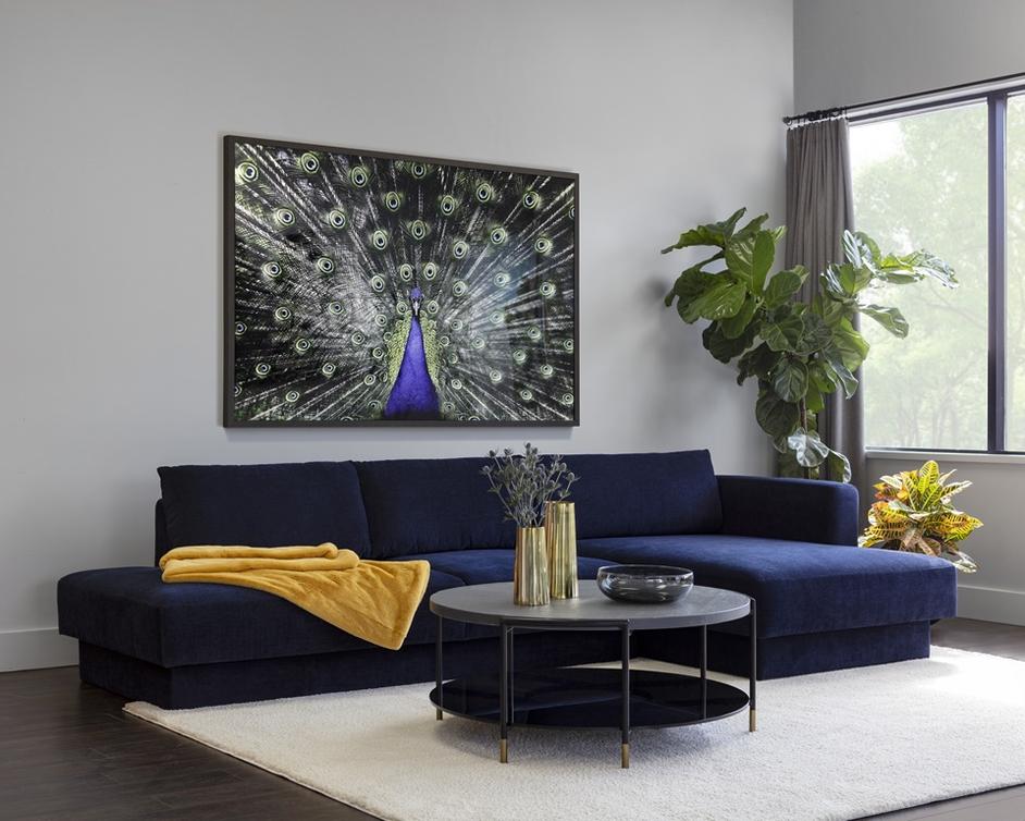 Brilliant Plumage - 72" X 48" - Charcoal Frame by Sunpan