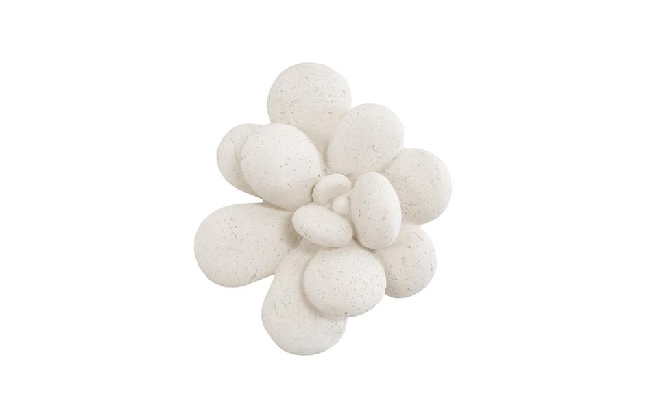 Oviferum Succulent Wall Art , White Stone by PHILLIPS COLLECTION