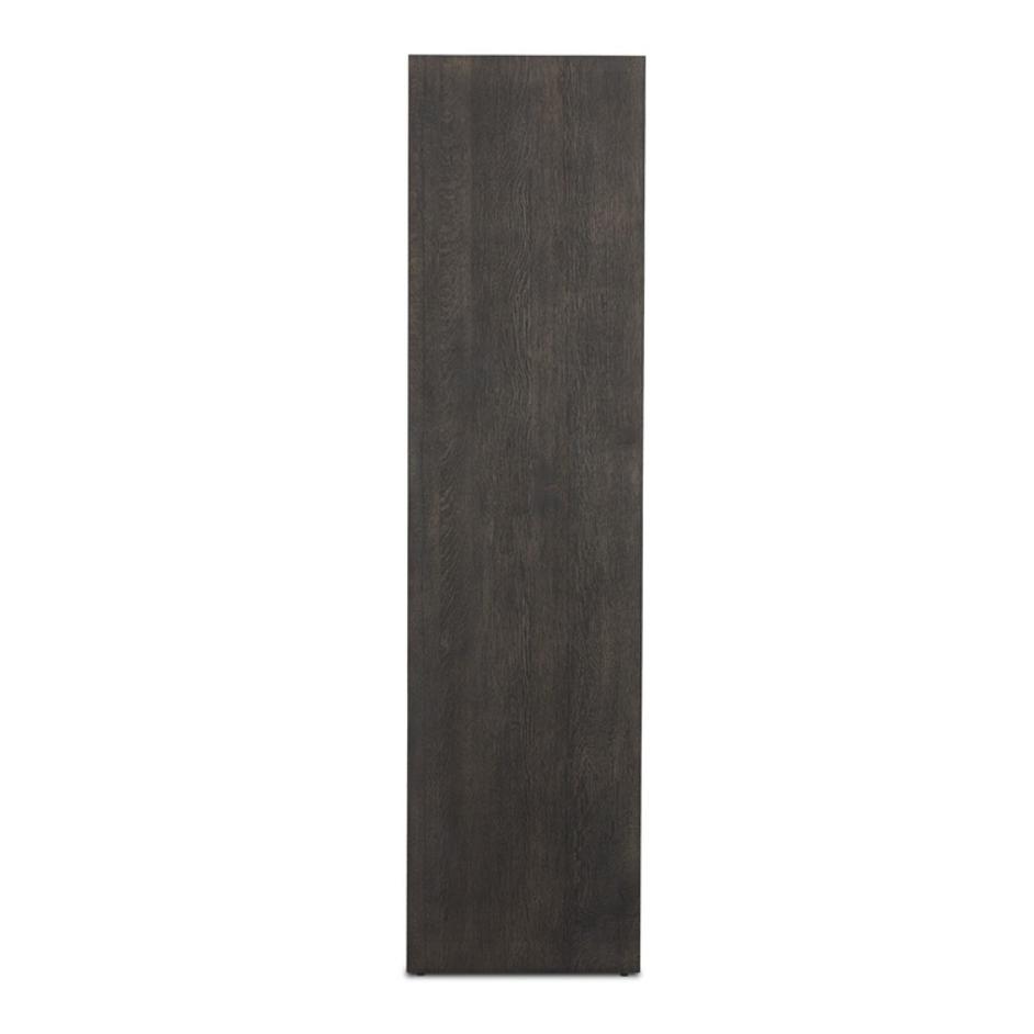 Elgin Cabinet - Brushed Dark Brown by Four Hands
