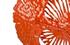 Flower Wall Art, Coral, Small by PHILLIPS COLLECTION