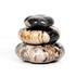 Petrified Wood Organic Sculpture, Set Of 3 - Dark Petrified Wood by Four Hands