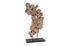 Pipal Wood Sculpture by PHILLIPS COLLECTION