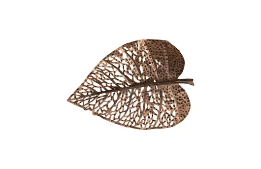 Birch Leaf Wall Art, Copper, XS by PHILLIPS COLLECTION