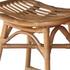 Damara Rattan Counter Stool In Canary Brown  by New Pacific Direct
