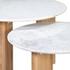 Atria Coffee Table Set of 2 by Curated Collections