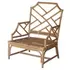 Kara Rattan Accent Arm Chair In Canary Brown  by New Pacific Direct