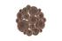 Lotus Collage, Round, Copper/Black by PHILLIPS COLLECTION