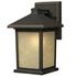 Holbrook Outdoor Wall Light in Oil Rubbed Bronze Finish by Z-Lite