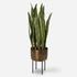 Fasita Brass Planter 2 Cartons by Uttermost